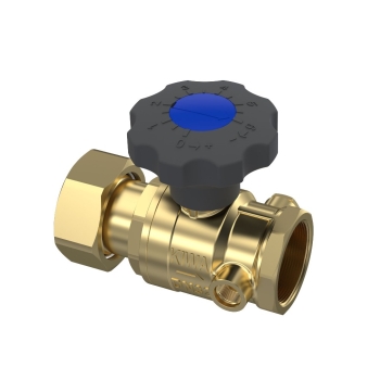 28002800000 Raminex Kogelkraan 2.1/2"" x 2"" (bi.dr. x wartel, messing, blauw)